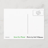 Red de fox-postkaart uit onze planeet opslaan briefkaart (Achterkant)