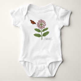 Red de Monarchvlinderpopulatie Romper