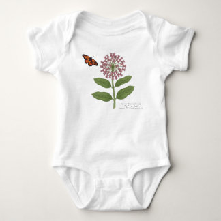 Red de Monarchvlinderpopulatie Romper