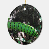 Red de Ohio Monarchen | Rups Keramisch Ornament (Links)