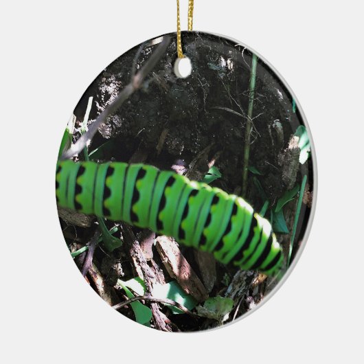 Red de Ohio Monarchen | Rups Keramisch Ornament (Links)