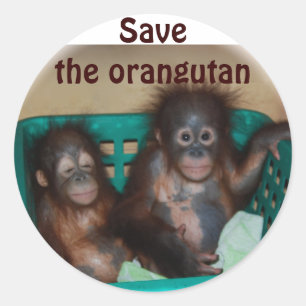 Red de orang-oetan ronde sticker