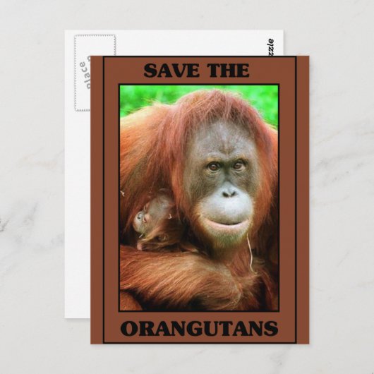 Red de Orangutans Briefkaart (Voorkant / Achterkant)