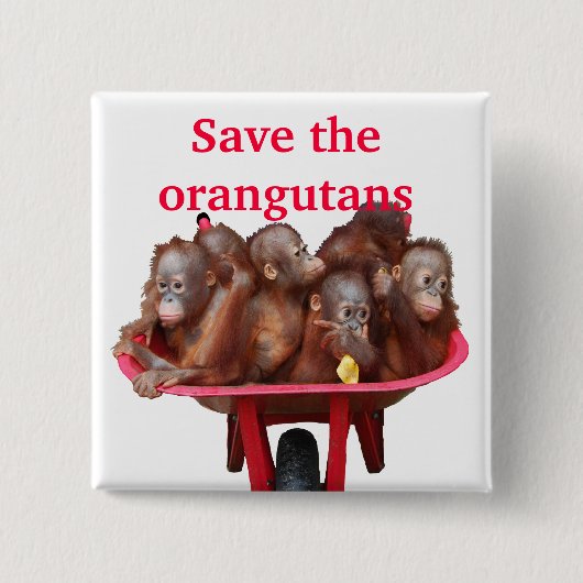 Red de Orangutans Cute Babies Vierkante Button 5,1 Cm (Voorkant)