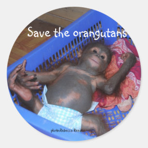 Red de Orangutans Cute Baby Ronde Sticker