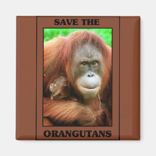 Red de Orangutans Magneet