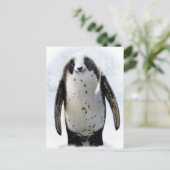 Red de Panguin! Briefkaart (Staand voorkant)