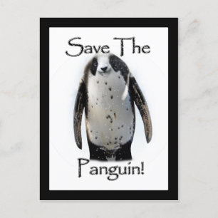 Red de Panguin! Briefkaart