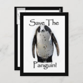 Red de Panguin! Briefkaart (Voorkant / Achterkant)