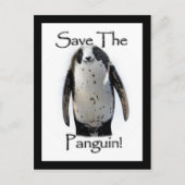 Red de Panguin! Briefkaart (Voorkant)