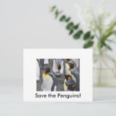 Red de pinguïns! Briefkaart (Staand voorkant)