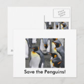 Red de pinguïns! Briefkaart (Voorkant / Achterkant)