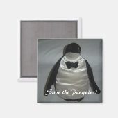 Red de Pinguïns! Magneet (Voorkant / Achterkant)