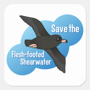 Red de Vlees-voet Shearwater Vierkante Sticker