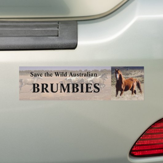 Red de wilde Australische Brumbies Bumpersticker (Op auto)