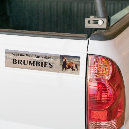 Red de wilde Australische Brumbies Bumpersticker (Op Truck)