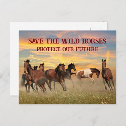 Red de wilde paarden briefkaart (Voorkant / Achterkant)