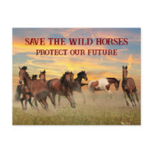 Red de wilde paarden