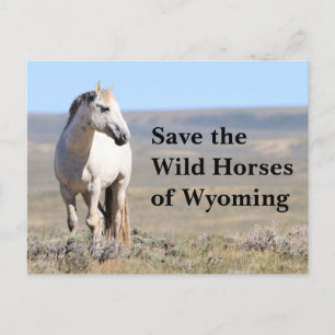Red de wilde paarden van Wyoming Briefkaart
