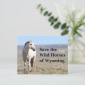 Red de wilde paarden van Wyoming Briefkaart (Staand voorkant)