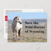 Red de wilde paarden van Wyoming Briefkaart (Voorkant / Achterkant)