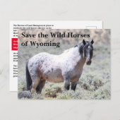 Red de wilde paarden van Wyoming Briefkaart (Voorkant / Achterkant)