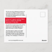 Red de wilde paarden van Wyoming Briefkaart (Achterkant)