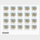 Red de zeeleeuwen vierkante sticker (Vel)