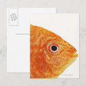 Red Deacon Briefkaart (Voorkant / Achterkant)