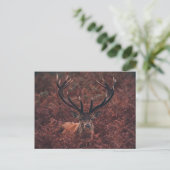 Red Deer Amidst Bracken Briefkaart (Staand voorkant)