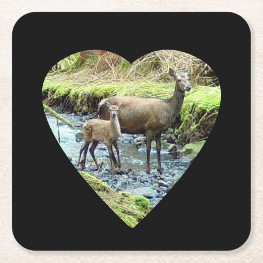 Red Deer Doe en Baby Herten Papier Onderzetter (Voorkant)