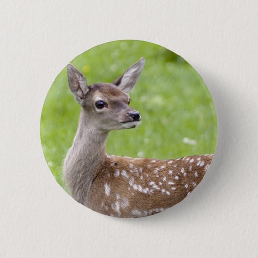 Red Deer Fawn Badge Ronde Button 5,7 Cm (Voorkant)