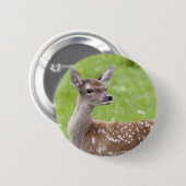 Red Deer Fawn Badge Ronde Button 5,7 Cm (Voorkant /achterkant)
