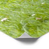 Red Deer Fawn Print (Hoek)