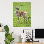 Red Deer Fawn Print (Thuiskantoor)