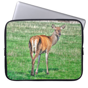 Red Deer & Field Wildlife Animal Design Laptop Sleeve