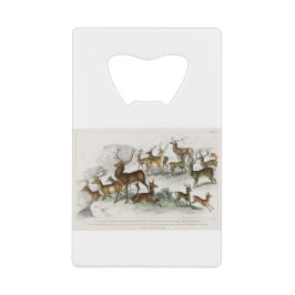 Red Deer Hart, Hind, Roebuck, Thibetian Musk Deer Creditkaart Flessenopener