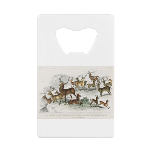 Red Deer Hart, Hind, Roebuck, Thibetian Musk Deer Creditkaart Flessenopener (Voorkant)