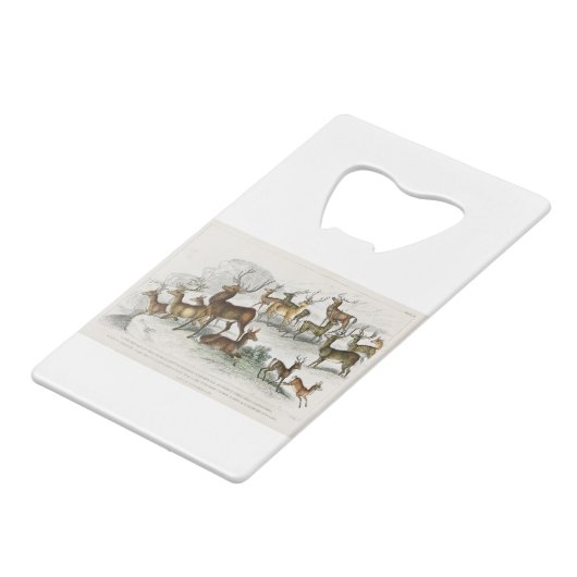 Red Deer Hart, Hind, Roebuck, Thibetian Musk Deer Creditkaart Flessenopener (Achterkant Gekanteld)