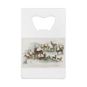 Red Deer Hart, Hind, Roebuck, Thibetian Musk Deer Creditkaart Flessenopener (Achterkant)