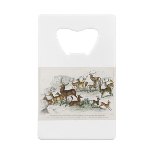 Red Deer Hart, Hind, Roebuck, Thibetian Musk Deer Creditkaart Flessenopener (Achterkant)