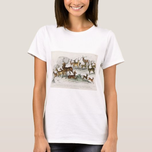 Red Deer Hart, Hind, Roebuck, Thibetian Musk Deer T-shirt (Voorkant)