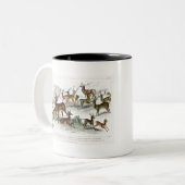 Red Deer Hart, Hind, Roebuck, Thibetian Musk Deer Tweekleurige Koffiemok (Voorkant links)