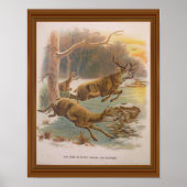 Red Deer  Illustration 19th Century Poster (Voorkant)