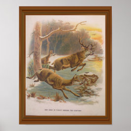 Red Deer  Illustration 19th Century Poster
