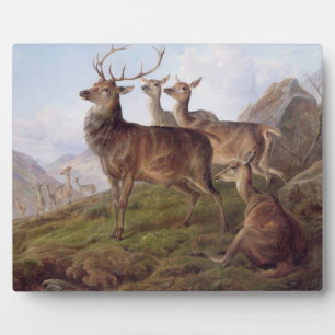 Red Deer in a Highland Landscape, 1872 (olie op bl Fotoplaat