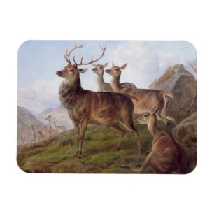 Red Deer in a Highland Landscape, 1872 (olie op bl Magneet