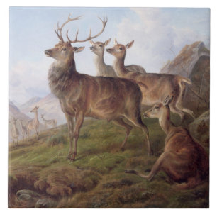 Red Deer in a Highland Landscape, 1872 (olie op bl Tegeltje