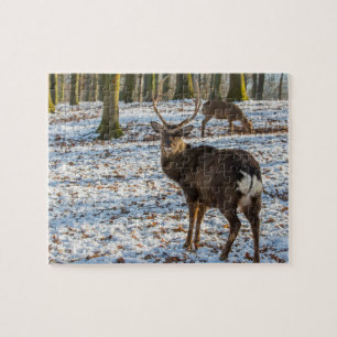 Red Deer in de sneeuw Legpuzzel