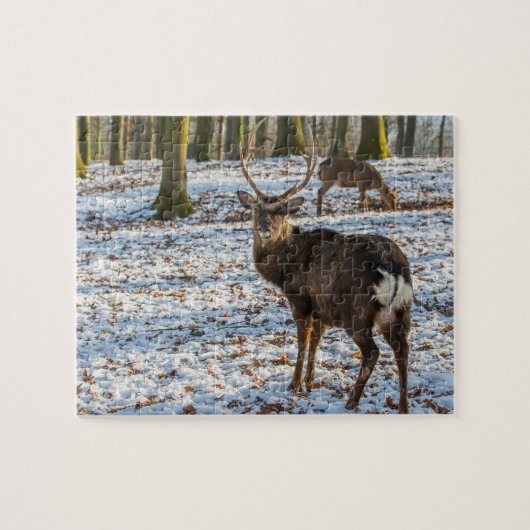 Red Deer in de sneeuw Legpuzzel (Horizontaal)